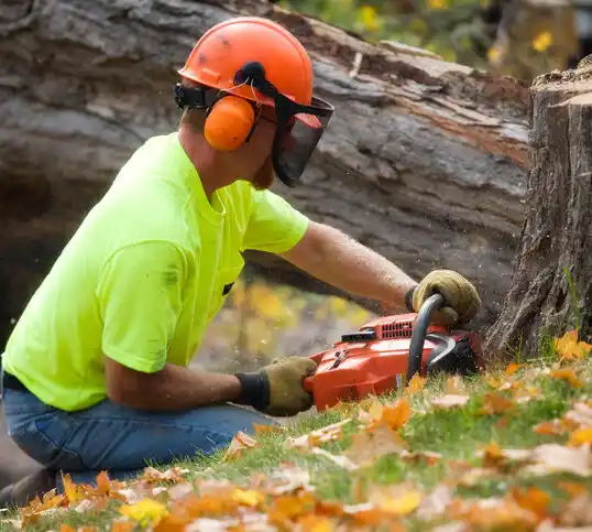 tree services South Lyon